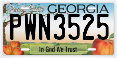 GA license plate PWN3525