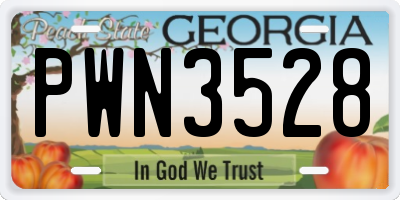 GA license plate PWN3528