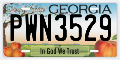 GA license plate PWN3529