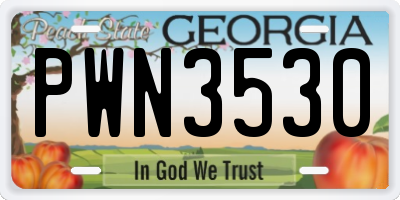GA license plate PWN3530