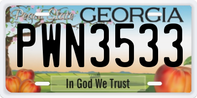 GA license plate PWN3533