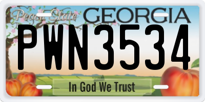 GA license plate PWN3534