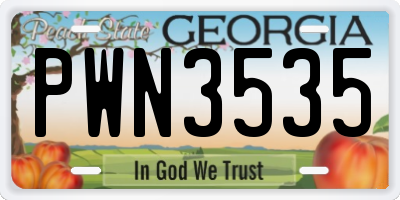 GA license plate PWN3535