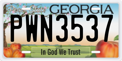 GA license plate PWN3537