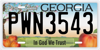 GA license plate PWN3543