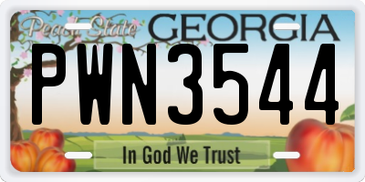 GA license plate PWN3544
