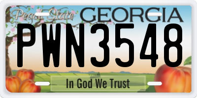 GA license plate PWN3548