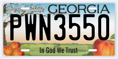 GA license plate PWN3550