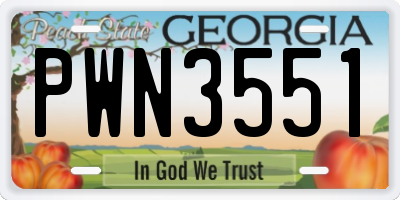 GA license plate PWN3551