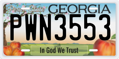 GA license plate PWN3553