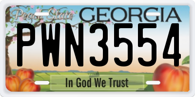 GA license plate PWN3554