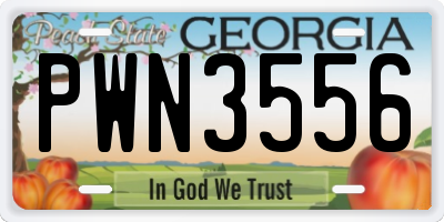GA license plate PWN3556