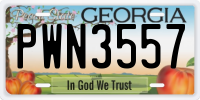 GA license plate PWN3557