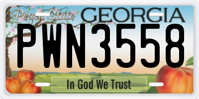 GA license plate PWN3558