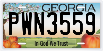 GA license plate PWN3559
