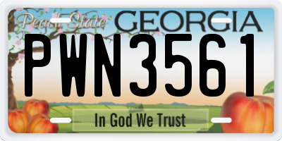 GA license plate PWN3561