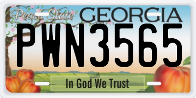 GA license plate PWN3565