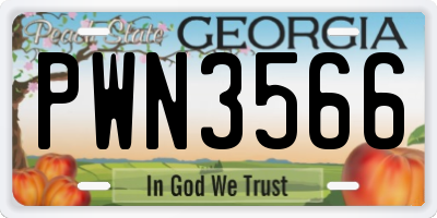 GA license plate PWN3566