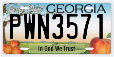 GA license plate PWN3571