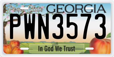 GA license plate PWN3573