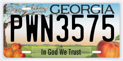 GA license plate PWN3575