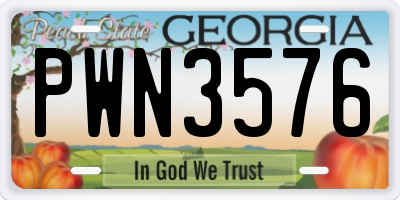 GA license plate PWN3576