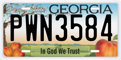 GA license plate PWN3584
