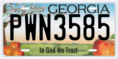 GA license plate PWN3585