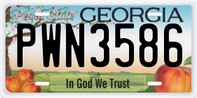 GA license plate PWN3586