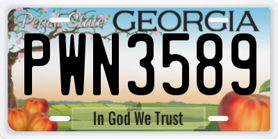 GA license plate PWN3589