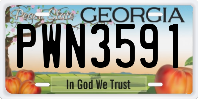 GA license plate PWN3591