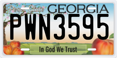 GA license plate PWN3595