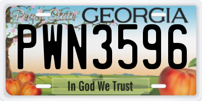 GA license plate PWN3596