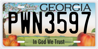 GA license plate PWN3597