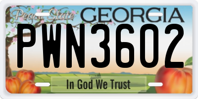GA license plate PWN3602