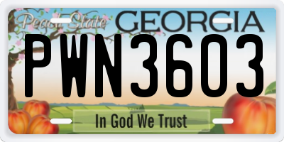 GA license plate PWN3603