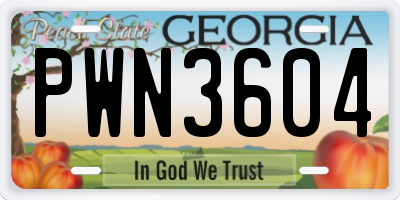 GA license plate PWN3604
