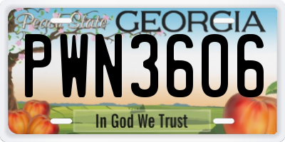 GA license plate PWN3606