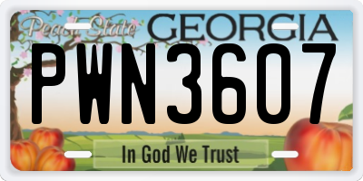 GA license plate PWN3607