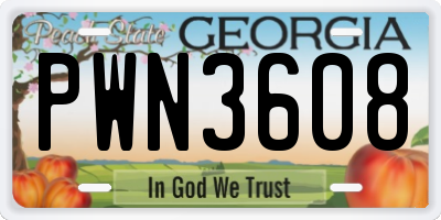 GA license plate PWN3608