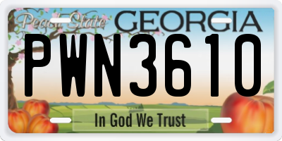 GA license plate PWN3610