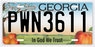 GA license plate PWN3611