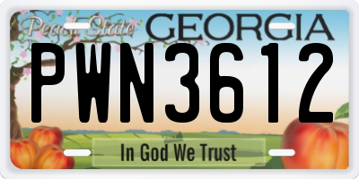 GA license plate PWN3612