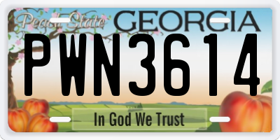 GA license plate PWN3614