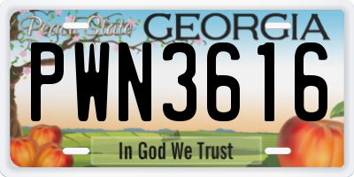 GA license plate PWN3616