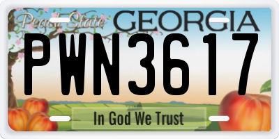 GA license plate PWN3617
