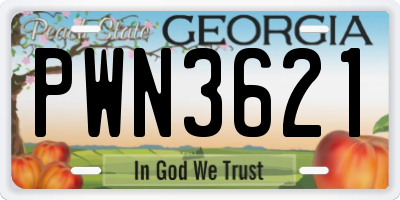 GA license plate PWN3621
