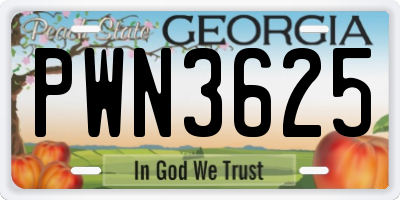 GA license plate PWN3625