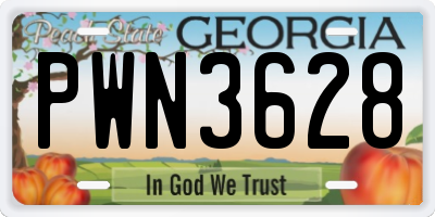 GA license plate PWN3628