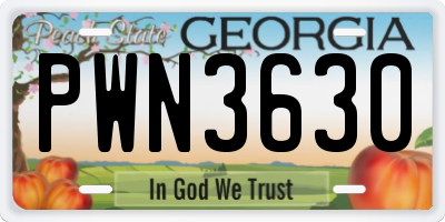 GA license plate PWN3630